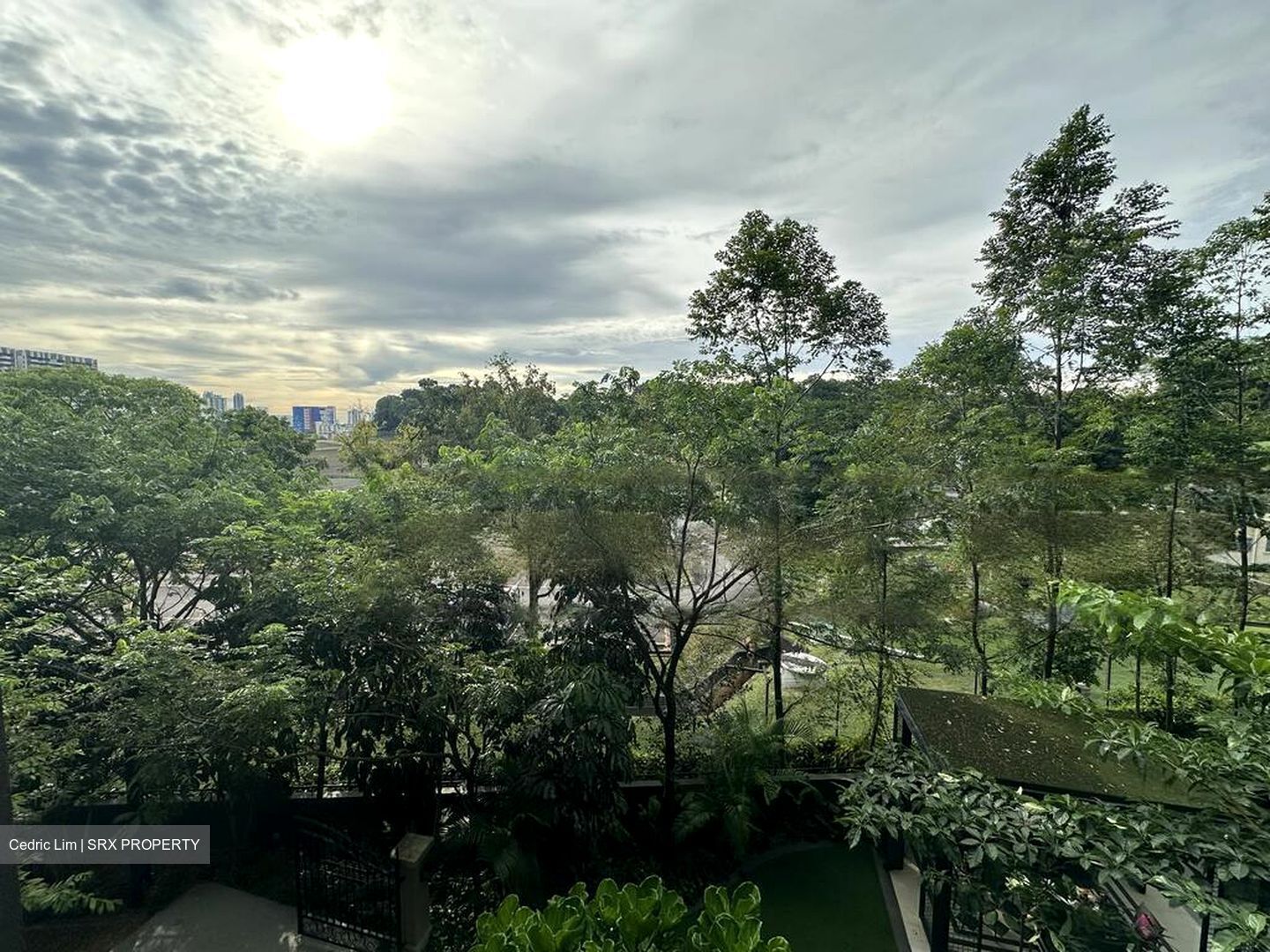 Park Colonial (D13), Condominium #462999871